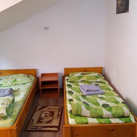 Casa Borcean Villa Sasca Montana Bagian luar foto