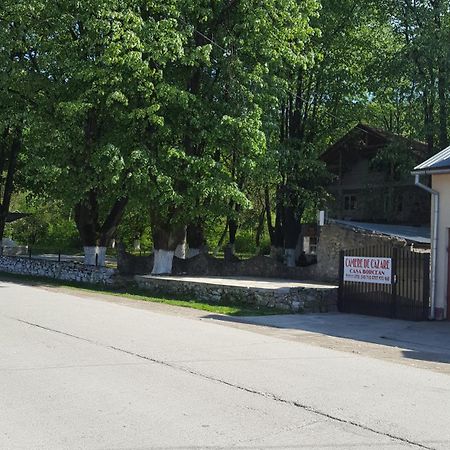 Casa Borcean Villa Sasca Montana Bagian luar foto
