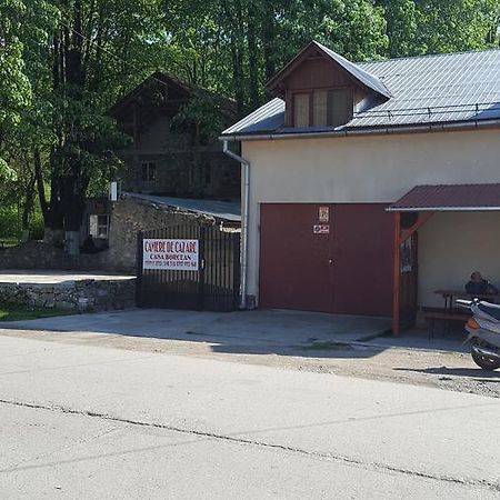 Casa Borcean Villa Sasca Montana Bagian luar foto