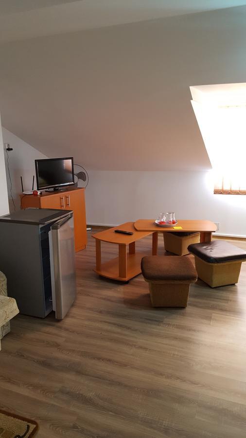 Casa Borcean Villa Sasca Montana Bagian luar foto