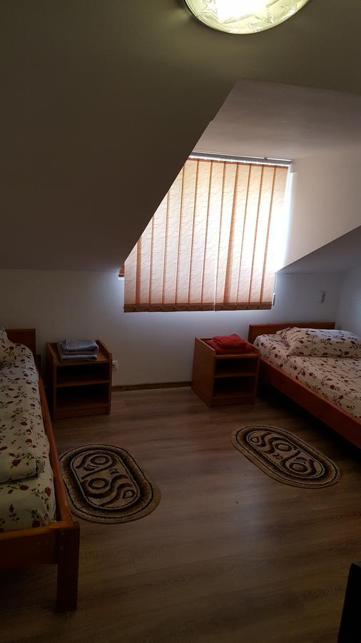Casa Borcean Villa Sasca Montana Bagian luar foto