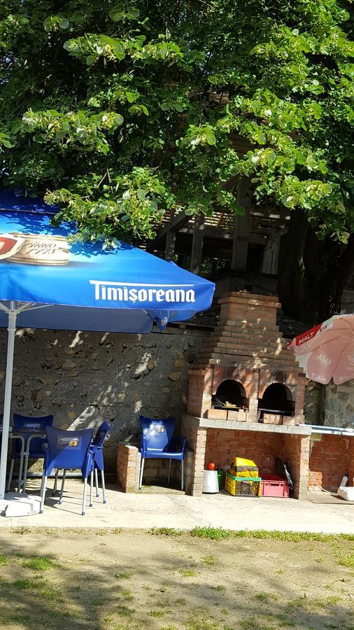 Casa Borcean Villa Sasca Montana Bagian luar foto